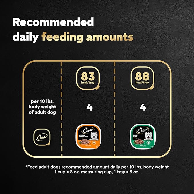 Cesar Filets in Gravy Adult Wet Dog Food, Poultry Lovers Multipack, 3.5 oz. (12 Count, Pack of 2)