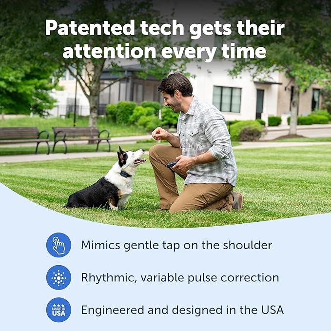 PetSafe Pro Dog Trainer with Remote – Waterproof Training Collar – 1000 ft Range – Tone, Vibration and 19 Levels of Static - Add-A-Dog Compatible – Sleek Remote Training Collar