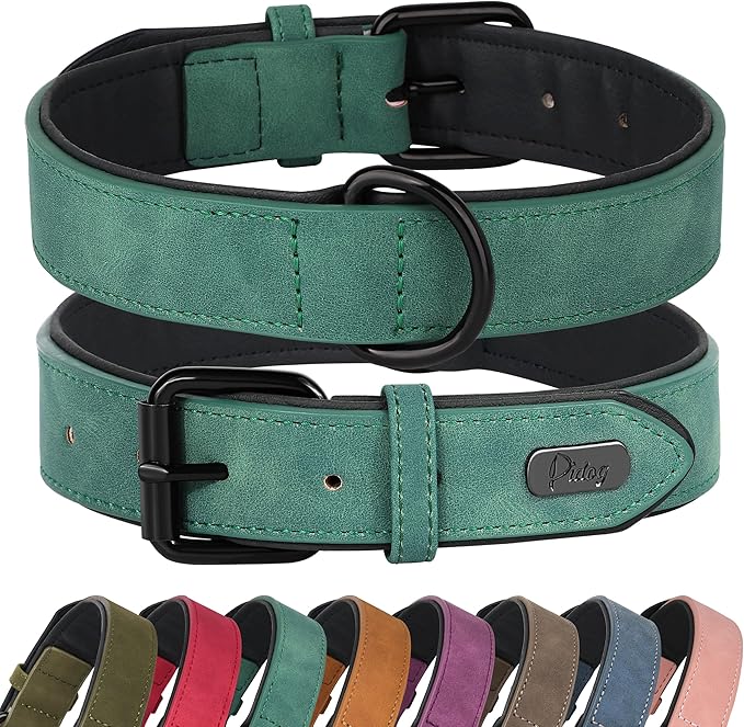 Didog Soft Padded Leather Dog Collar, Breathable Heavy Duty Dog Collar Leather with Adjustable Rust-Proof Metal Buckle for Small Medium Large Dogs, Green, M: Total length 16'', Fit 11-13''Neck