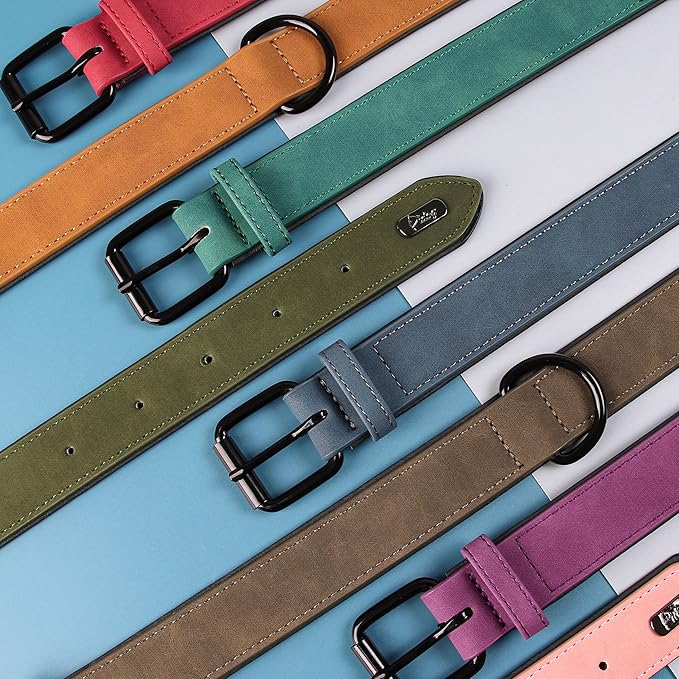 Didog Soft Padded Leather Dog Collar, Breathable Heavy Duty Dog Collar Leather with Adjustable Rust-Proof Metal Buckle for Small Medium Large Dogs, Green, XL
