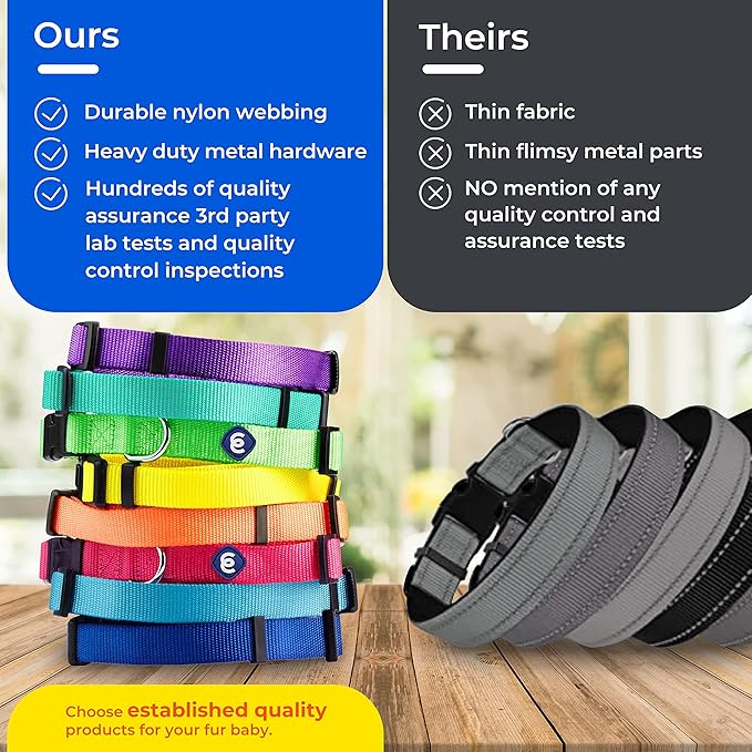 Blueberry Pet Essentials X-Small Dog Collar in Black | Adjustable & Eco-Friendly Durable Nylon Strap | Classic Collar for X-Small Dogs, Boy & Girl Pets