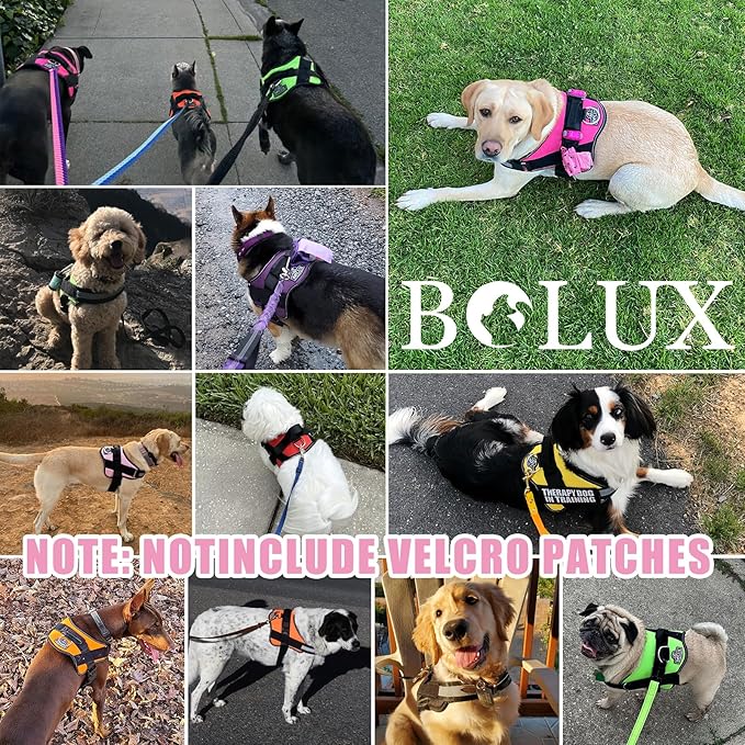 Bolux Dog Harness, No-Pull Reflective Dog Vest, Breathable Adjustable Pet Harness with Handle for Outdoor Walking - No More Pulling, Tugging or Choking (Large (Pack of 1), OilPainting)