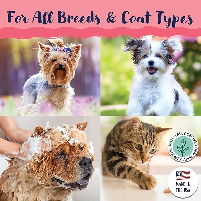 Bobbi Panter Cat Shampoo and Conditioner - Made in USA - All Natural 2-in-1 Formula for Reducing Shedding, Dander, Matting - Concentrated 10:1 for Professional Groomers - Watermelon Scent, 13 Oz