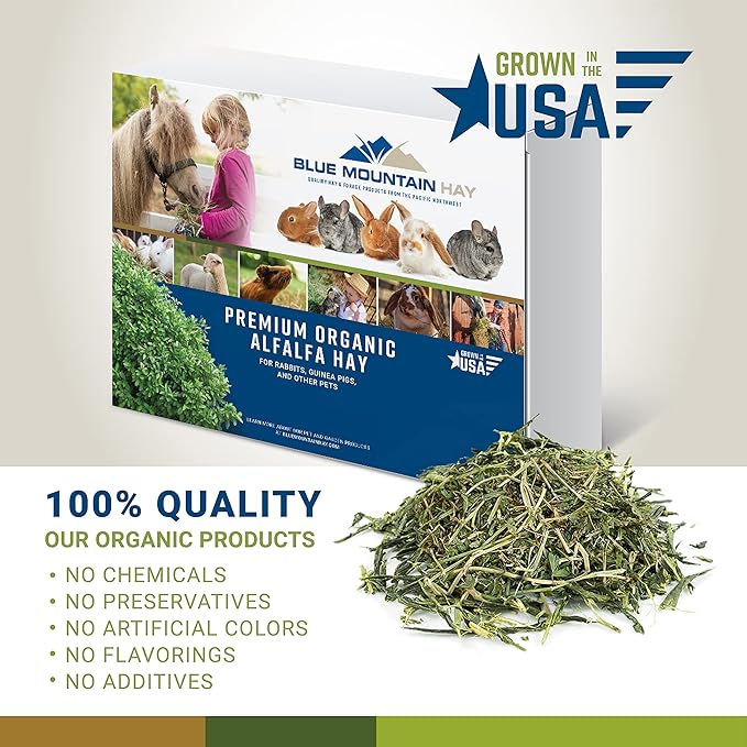 Blue Mountain Hay High-Altitude Hay - Organic Alfalfa, 10lb - High Protein, Fiber & Mineral-Rich - Soft, Leafy, High Leaf Retention - Ideal for Goats, Rabbits, Guinea Pigs & Other Small Animals