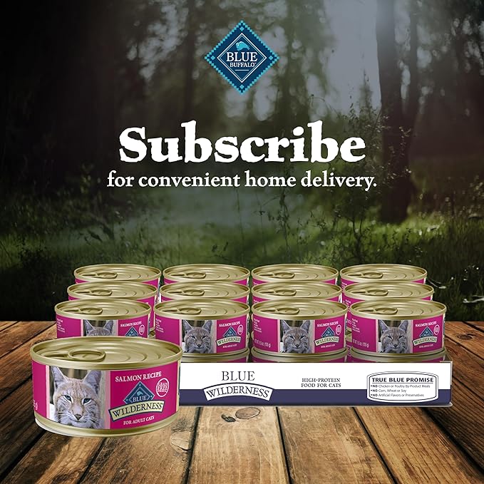 Blue Buffalo Wilderness Natural High-Protein Grain-Free Wet Food for Adult Cats, Salmon Paté, 5.5-oz. Cans, 24 Count