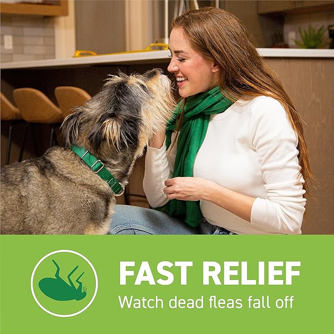 CAPSTAR Oral Flea Treatment for Dogs, Fast Acting Tablets Start Killing Fleas in 30 Minutes, Medium & Large Dogs (Over 25 lbs), 6 Doses