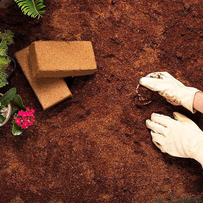 Coco Coir Brick (650gms) - Organic Coco Coir for Plants & Gardening - OMRI-Listed Cocopeat for Garden Soil, Seed Starter Soil, & Mulch - Coconut Coir Brick - Coconut Fiber Potting Mix